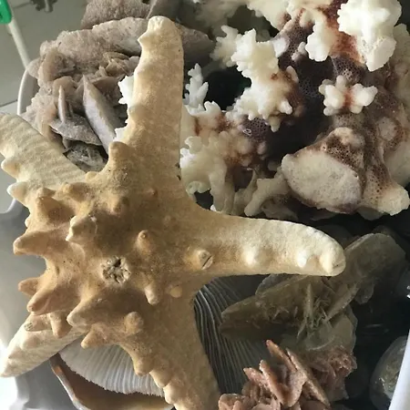 ホテル Star カットーリカ