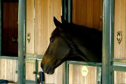 Ξενοδοχείο Star