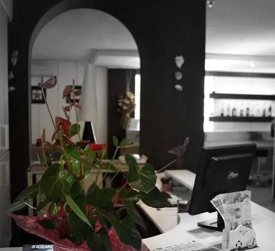 Star كاتوليكا